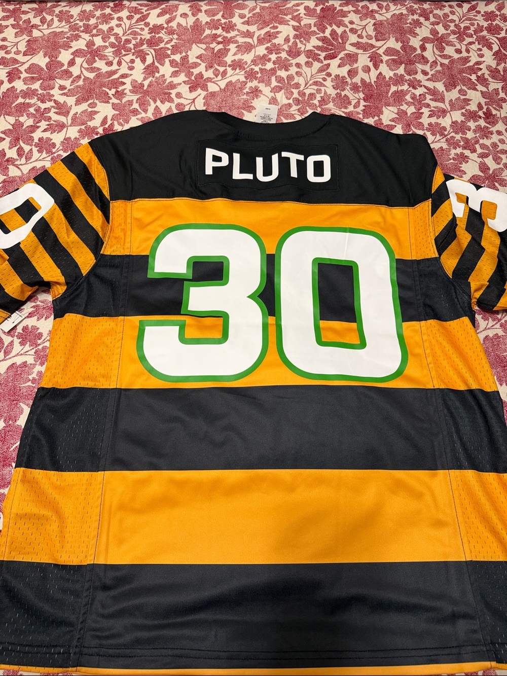 Walt Disney World Pluto Jersey - Picture 4 of 5